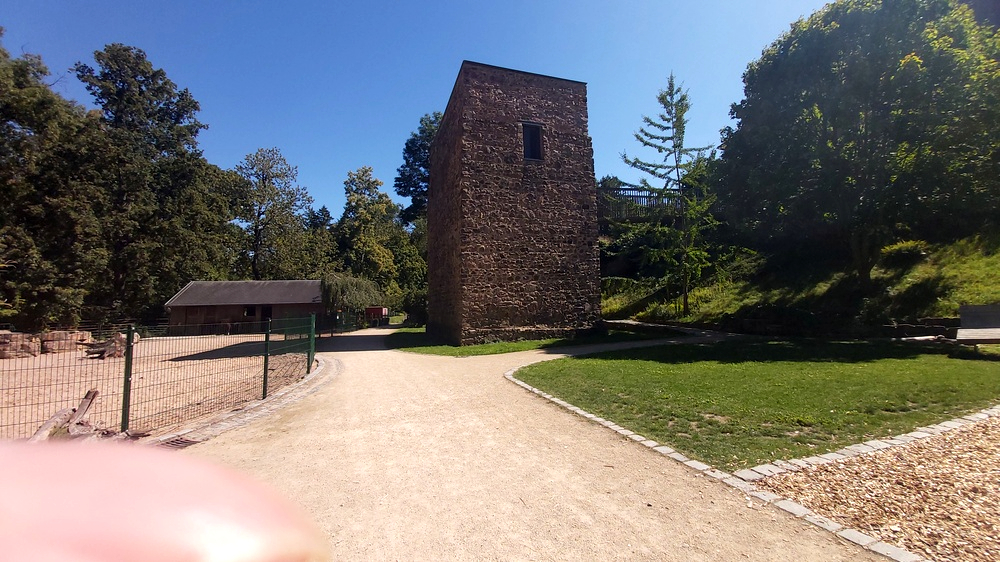 Aussichtsturm im Tierpark Riesa. Foto: MeiDresden.de