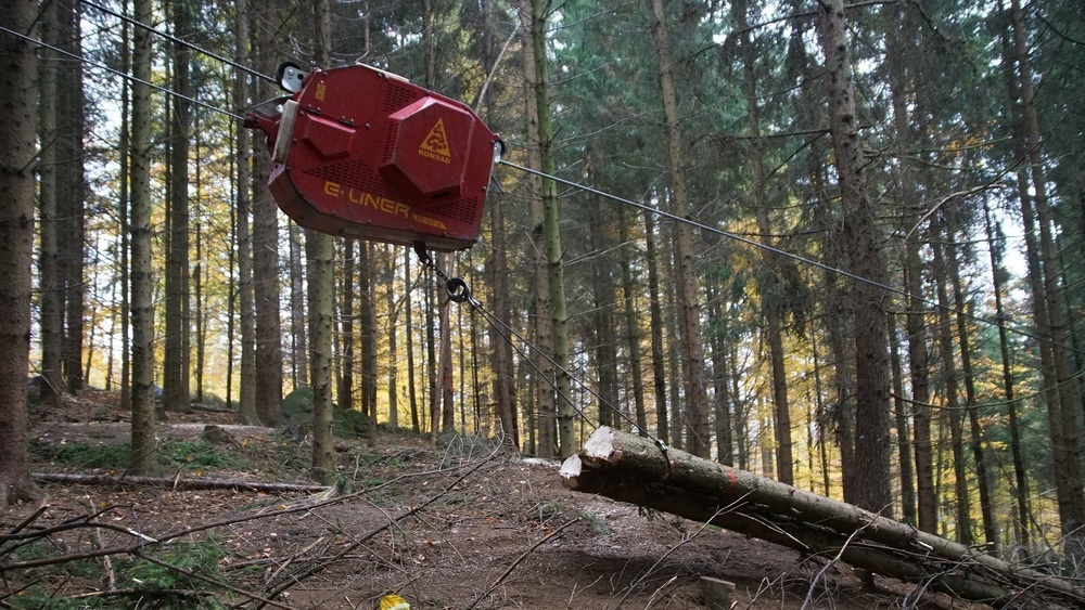 Die Laufkatze des Seilkrans zieht die am Seil hängenden Stämme am Hang nach oben, so dass sie den Waldboden gar nicht oder kaum berühren. Hier an der Hangkante hängt sie tiefer am straff gespannten Seil und kommt so mit in den Bildausschnitt. Foto: K. Partzsch