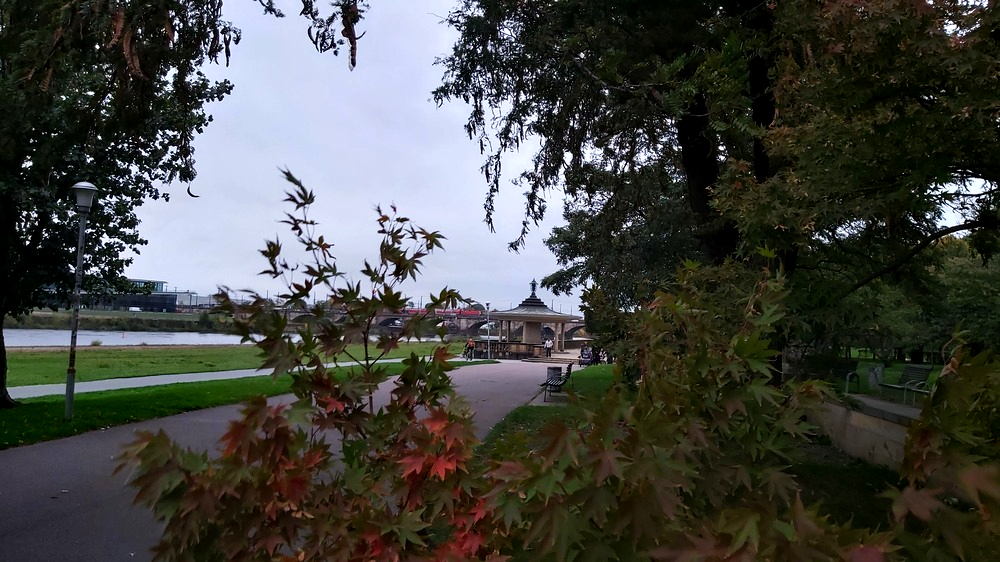 Der Goldene Oktober zeigte sich auch oft von seine trüben Seite. Foto: MeiDresden.de