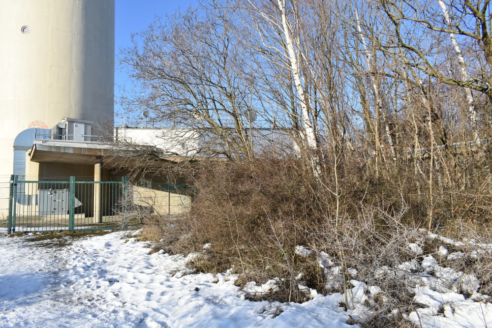 Foto: Archiv 2021 MeiDresden.de/Mike Schiller