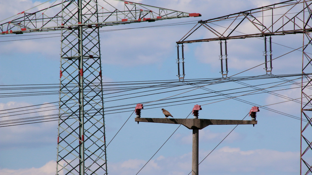 Vogelsicherer Mittelspannungsmast. Foto: NABU/ Eric Neuling