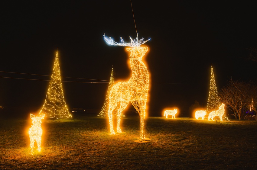 Sonnenlandpark Winterzauber Hirsch. Foto: Erlebnis- und Freizeitpark Lichtenau