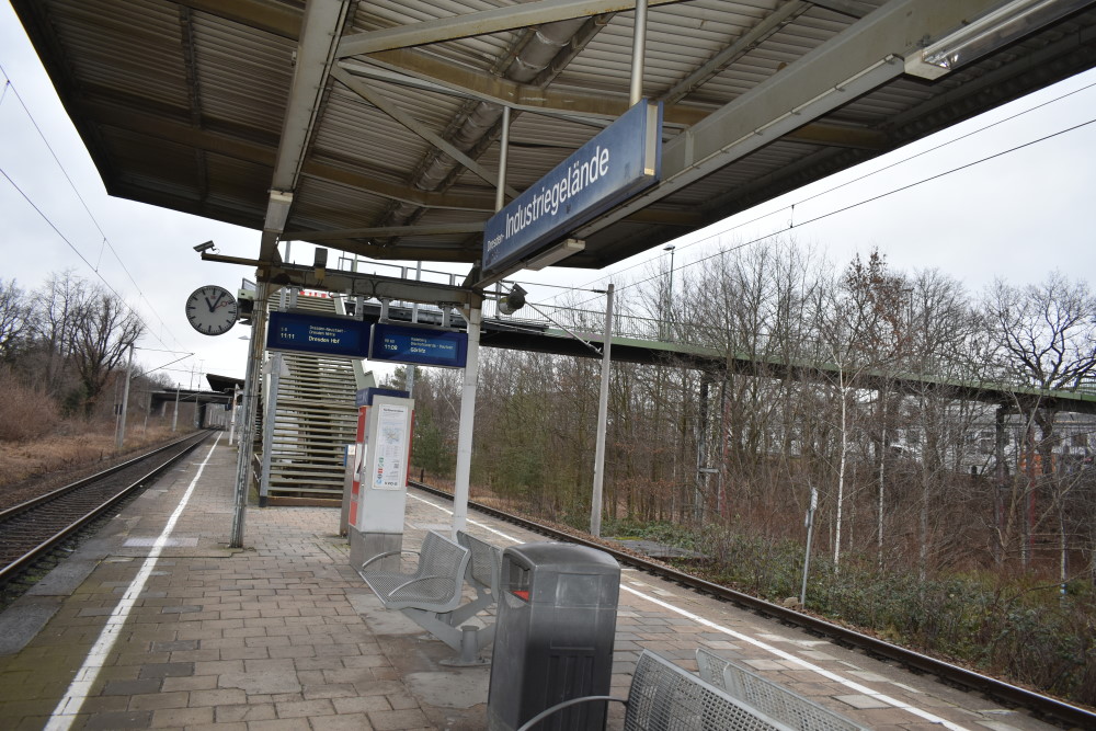 Archiv © MeiDresden.de