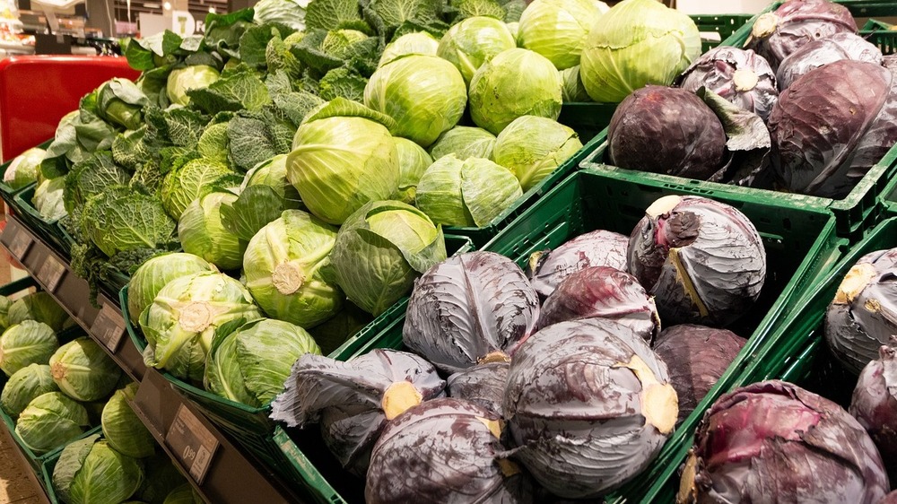 Saisonales Gemüse wie Rotkohl, Weißkohl, Wirsing oder Rosenkohl sind bei den meisten beliebt Foto: Souline auf Pixabay