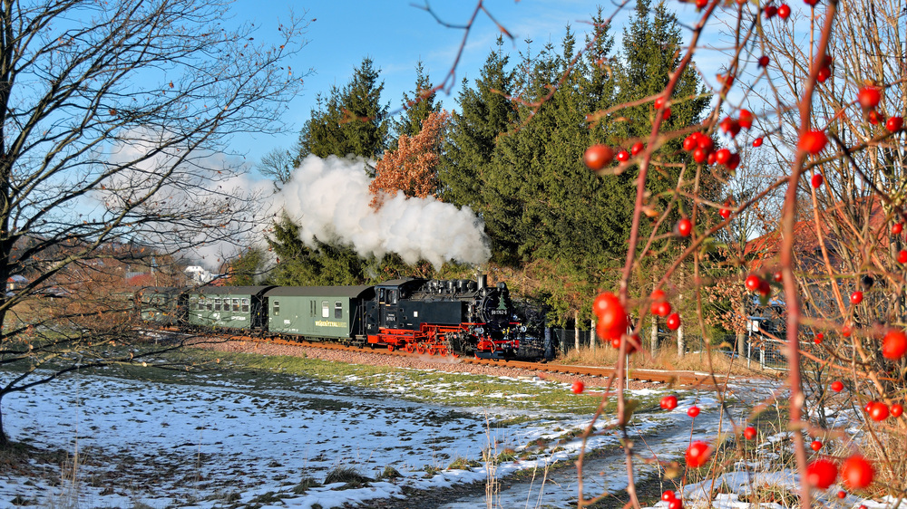 Weisseritztalbahn -  Ausfahrt Dippoldiswalde Foto: RichardGeertz