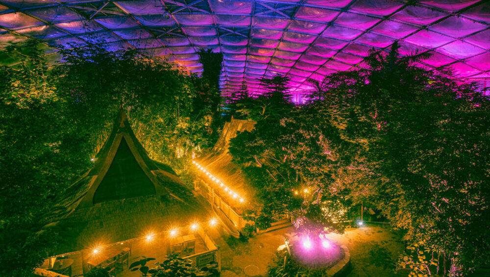 42 Magisches Tropenleuchten im Zoo Leipzig @Zoo Leipzig