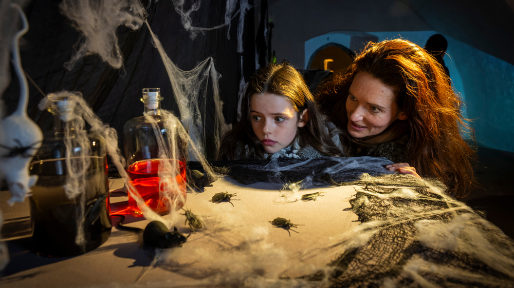 Spuk unterm Weihnachtsbaum  © Sylvio Dittrich