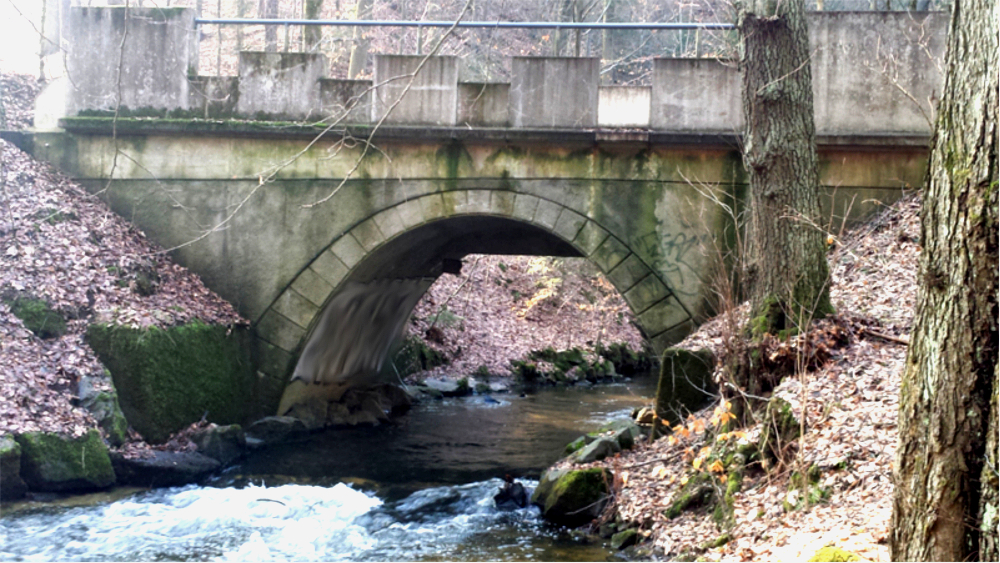 Wanderung entlang der Priessnitz über die  Kellerbrücke. Foto: MeiDresden.de