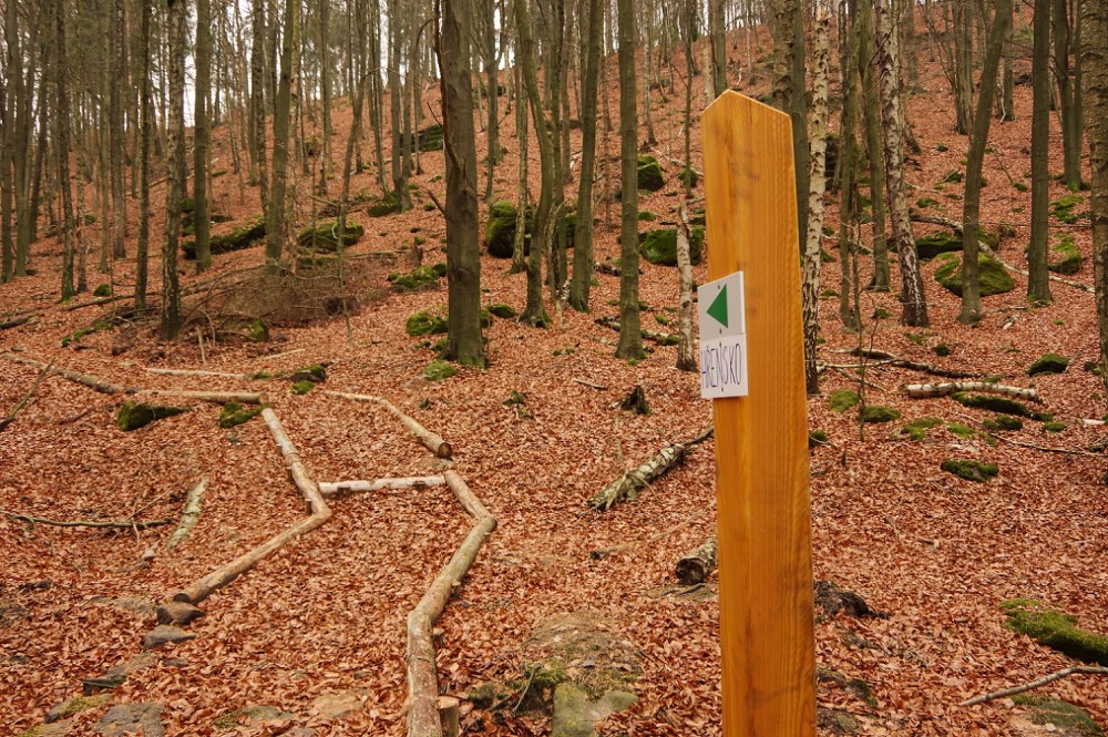 Unmittelbar vom Grenzweg zweigt die neue Route ab, führt hinauf zum Langen Horn (Dlouhý roh) auf böhmischer Seite und dann weiter ins Tal der Dürren Biele (Suchá Bělá).    Foto: Hartmut Landgraf