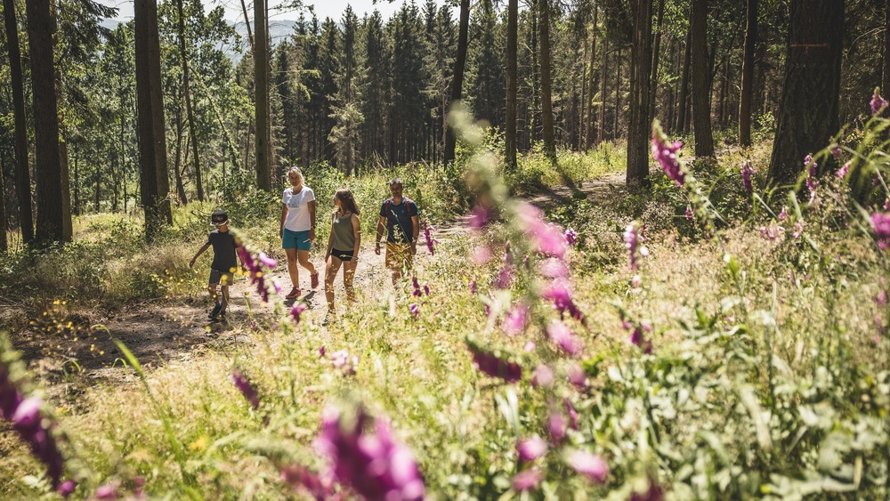 Wandern im Oberlausitzer Bergland, Foto: Philipp Herfort   