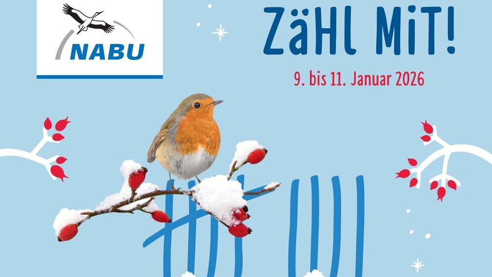 Stunde der Wintervögel 2026. Grafik: NABU