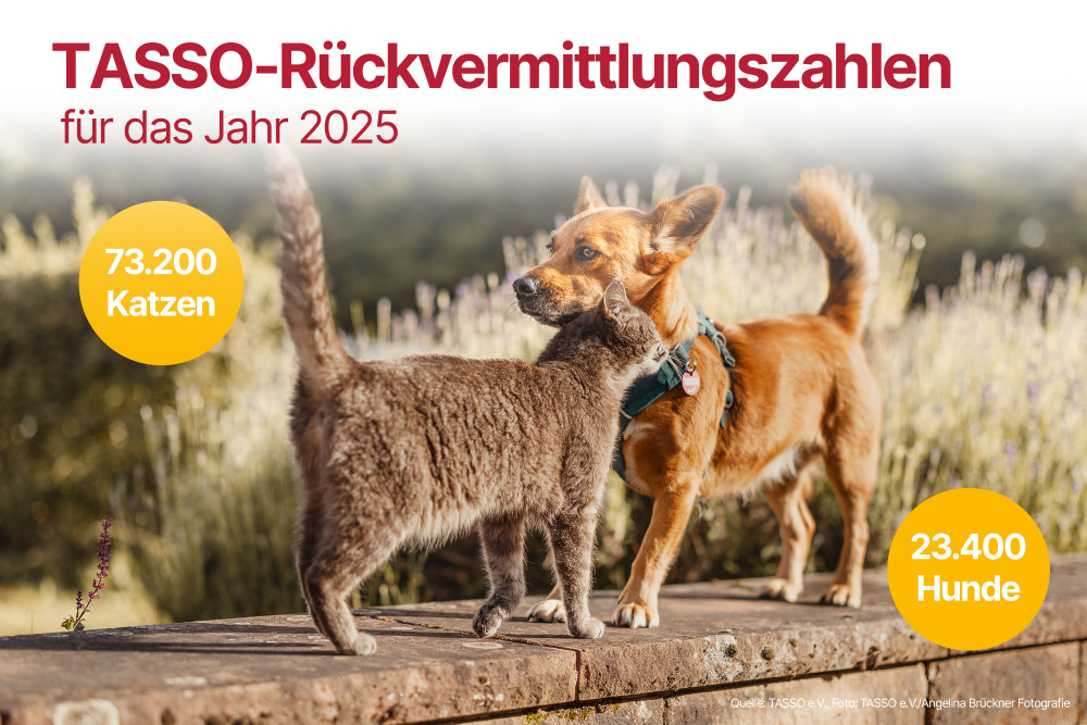 TASSO e.V. / Angelina Brückner Fotografie