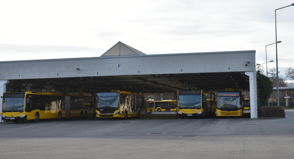 © Archiv MeiDresden.de