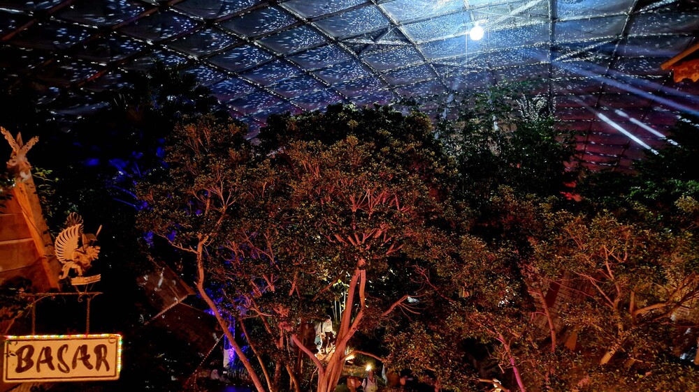 Sternenhimmel im Regenwald  . Foto: Zoo Leipzig