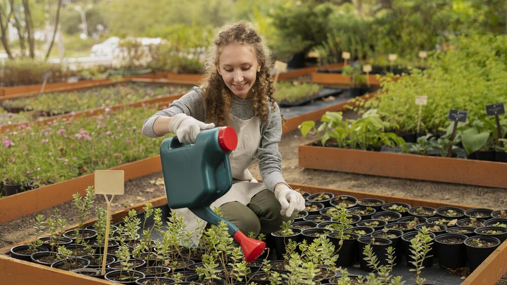 Wettbewerb für die schönste Kleingartenanlage 2026 in Dresden startet . Foto:  freep!k