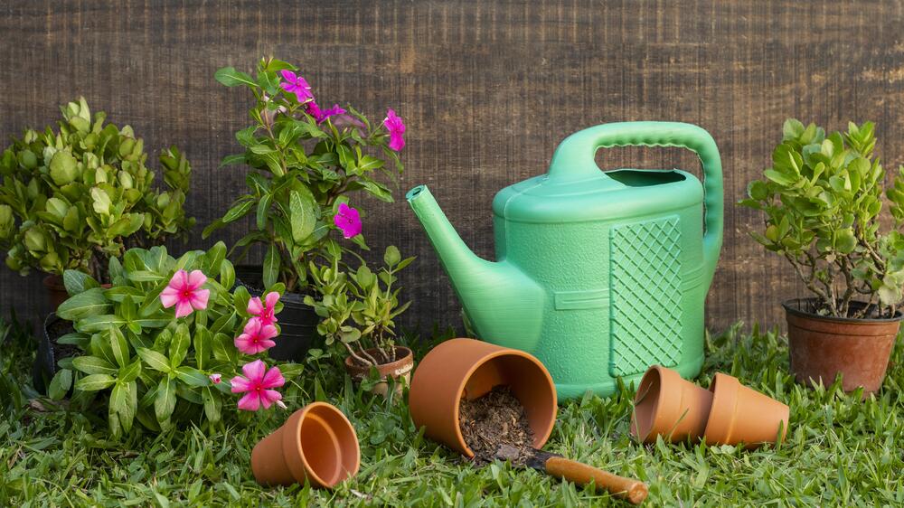 Wettbewerb für die schönste Kleingartenanlage 2026 in Dresden startet . Foto:  freep!k