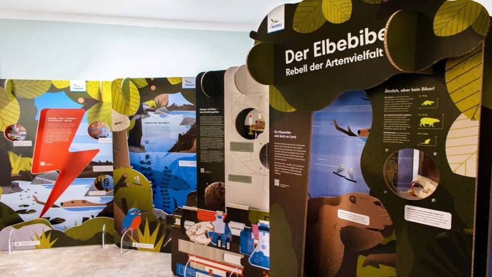 Anschaulich, interaktiv und überraschend thematisiert die Ausstellung "Der Elbebiber - Rebell der Artenvielfalt" die besonderen Fähigkeiten des Elbebibers. Foto:  Ungestalt GbR