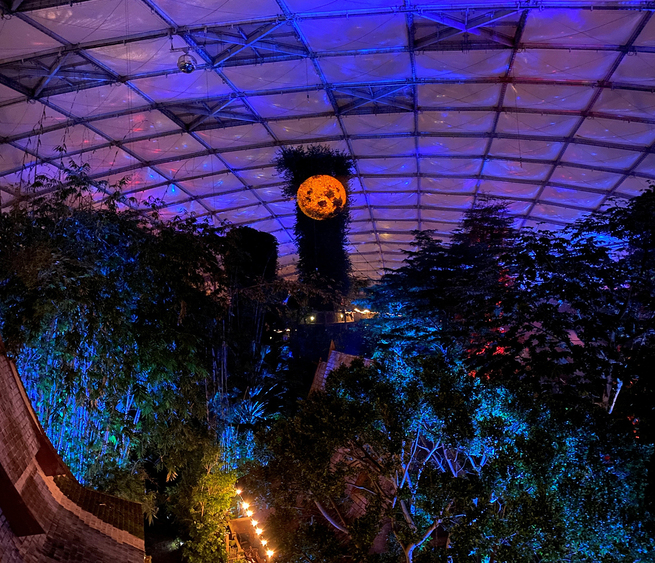 Magisches Tropenleuchten in Gondwanaland © Zoo Leipzig