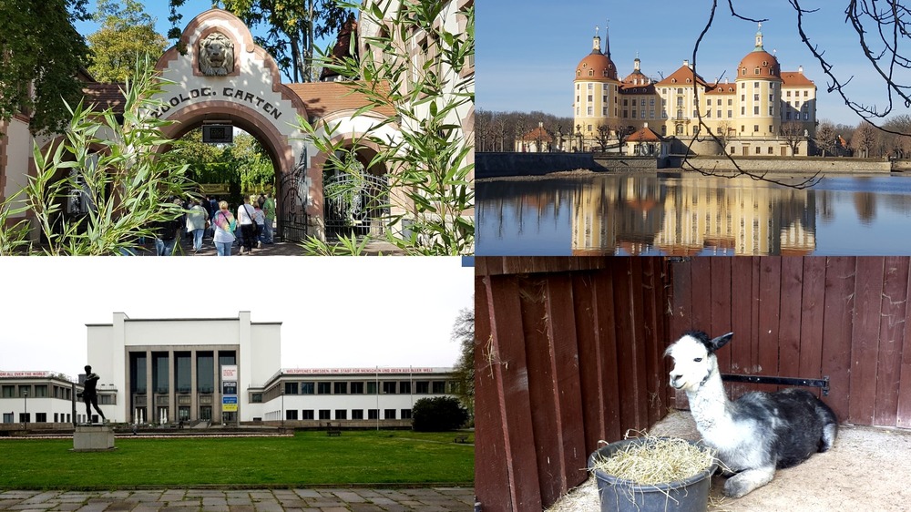 Tierische Erlebnisse und mehr - Die MeiDresden.de Tipps für die Winterferien. Fotos: MeiDresden.de