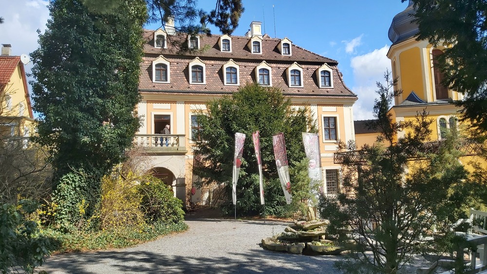 "Deutsche Kamelienblütenschau" lädt ins Landschloß Pirna Zuschendorf ein. Foto: MeiDreden.de (Archiv)