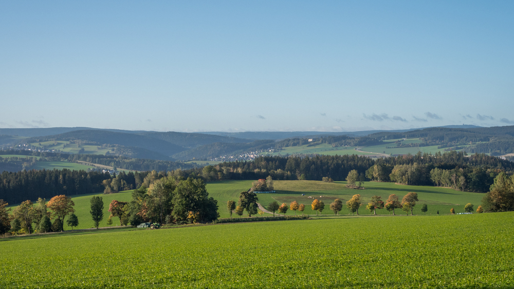 Die Landschaft des Erzgebirges. Foto: TVE/Laura Schneider