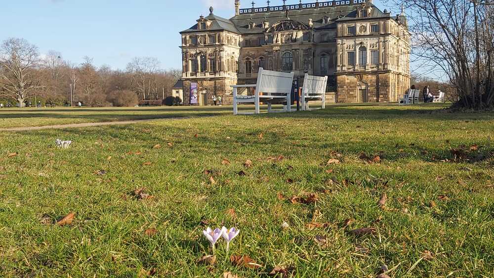Der Frühling hält langsam Einzug und die Natur wacht aus dem Winterschlaf. Foto: MeiDresden.de