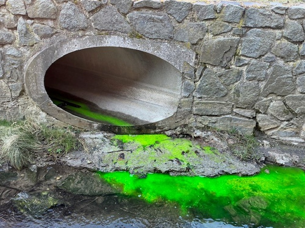 Kaitzbach   Foto: © FW Dresden