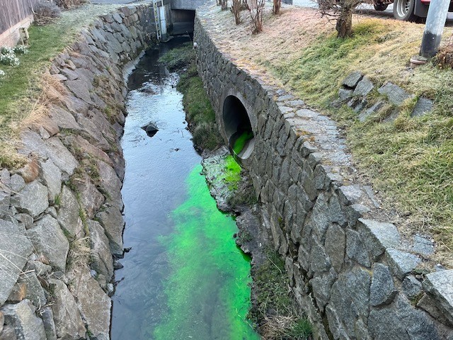 Kaitzbach   Foto: © FW Dresden