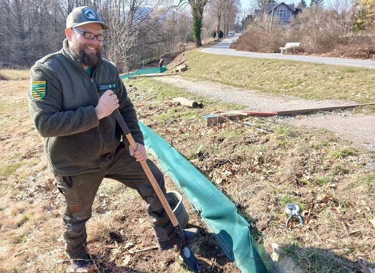 Ranger Martin Miedtank von der Nationalparkwacht der Nationalpark- und Forstverwaltung von Sachsenforst vergräbt einen von mehreren Eimern entlang des Amphibienschutzzauns. Der Mattenzaun verhindert, dass wandernde Amphibien auf die Straße gelangen und durch Kraftfahrzeuge zu Tode kommen. Die Tiere geraten stattdessen in die Eimer. Mitarbeitende der Nationalpark- und Forstverwaltung kontrollieren die Behälter zweimal täglich und bringen die Tiere sicher über die Straße. Foto: K. Partzsch