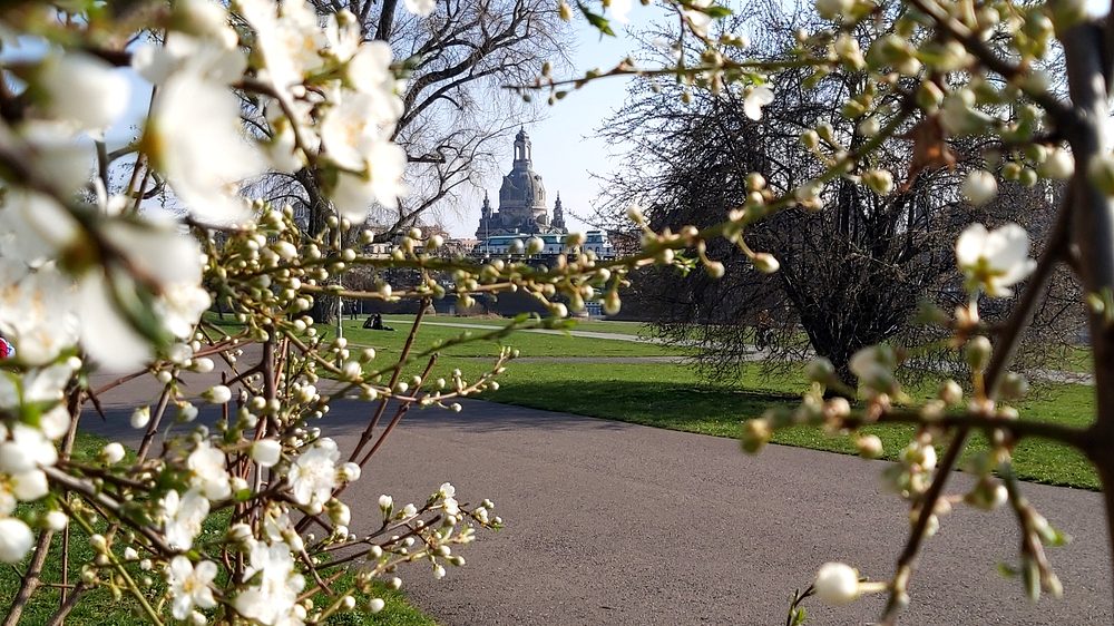 © MeiDresden.de