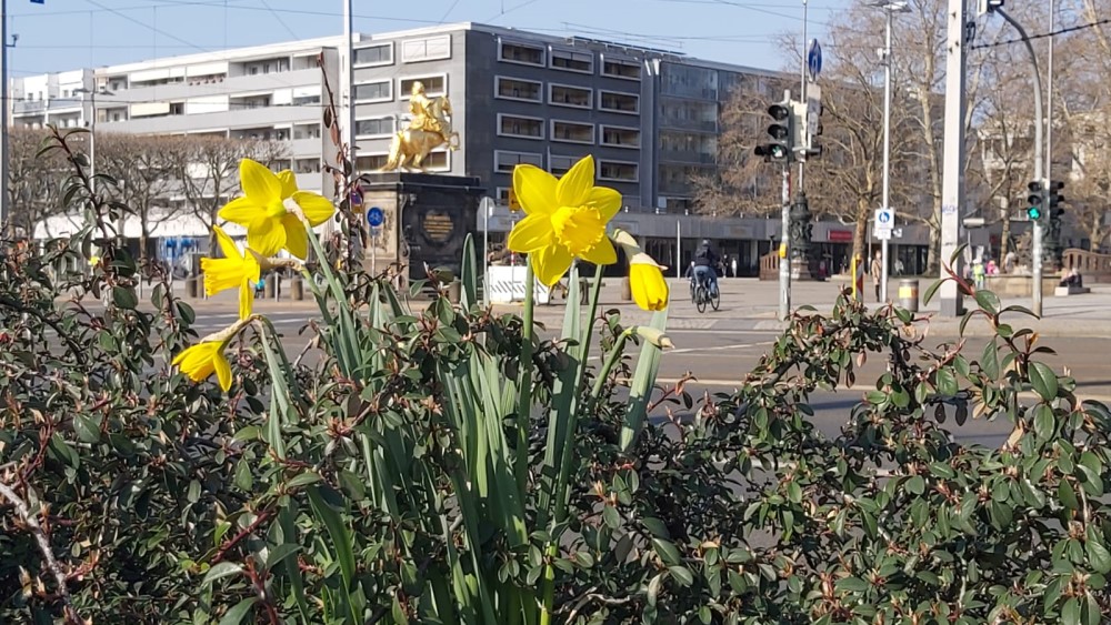 © MeiDresden.de
