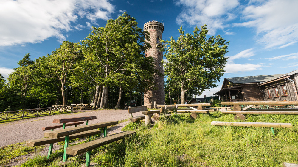 Vom Kickelhahnturm genießen Wandernde eine weite Aussicht über den Thüringer Wald. Foto: DJD/Stadtverwaltung Ilmenau
