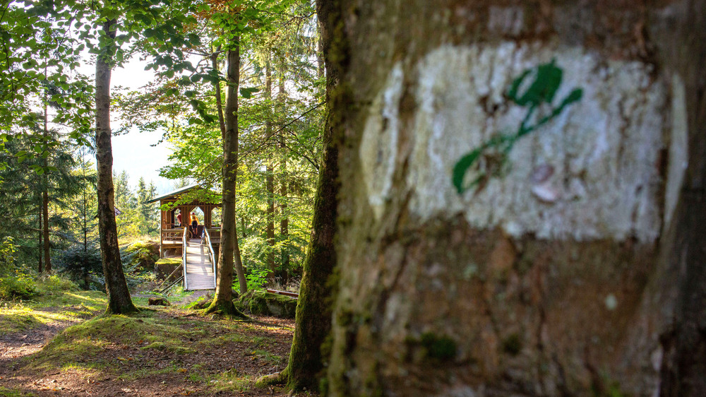 Der Goethewanderweg ist durch das geschwungene „G“ gekennzeichnet, er verbindet Goethes Wirkungsstätten zwischen Ilmenau und Stützerbach. Foto: DJD/Stadtverwaltung Ilmenau/Adrian Seeber