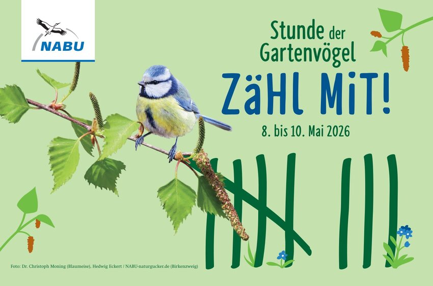 Stunde der Gartebvögel 2026 Grafik: NABU/C. Moning/H. Eckert/NABU-naturgucker