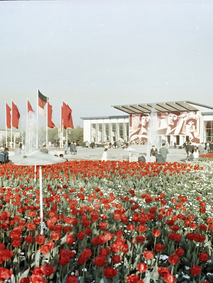Der Festplatz und das große Blumenbeet waren von Anfang an ein Anziehungspunkt im Park. Foto: DJD/Erfurter Garten- und Ausstellungs/Hans Keil