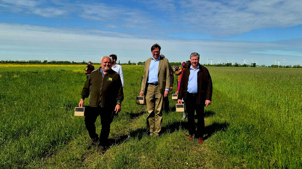 Auf dem Weg zur Auswilderung - Prof Jörg Junhold, Georg-Ludwig von Breitenbuch und Dr. Eckhard Rexroth (v.l.n.r.). Foto: Zoo Leipzig