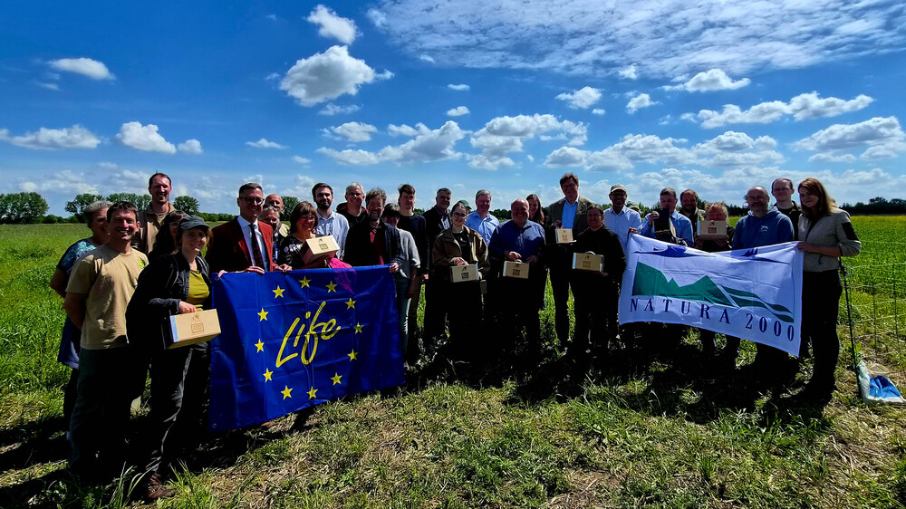 Gemeinsam für den Mitteldeutschen Feldhamster - Auswilderung im Rahmen des EU-Projektes . Foto. Zoo Leipzig