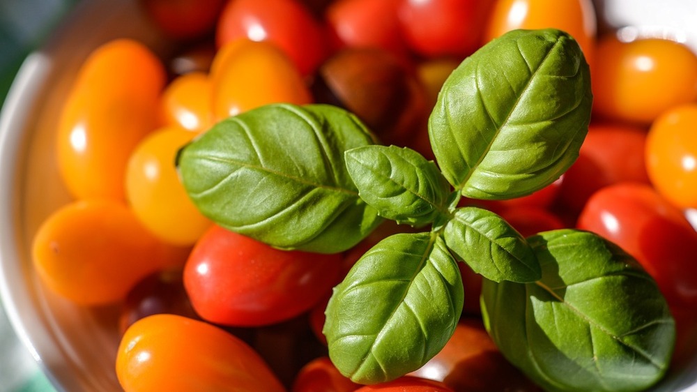 Kirschtomaten & Co sind ein beliebter und vitaminreicher Snack. Aber welche sind auch frei von Pestiziden?. Foto: Monika auf Pixabay