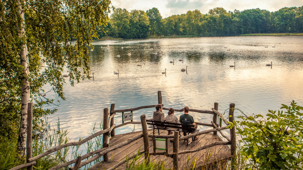 Durch jahrhundertelange Teichwirtschaft ist in der Oberlausitz eine Kulturlandschaft aus Wasserflächen, Heiden und Wäldern entstanden. Foto: DJD/Tourismus Marketing Gesellschaft Sachsen/Vollmer Werbeagentu