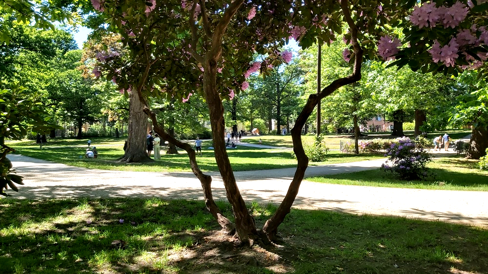 Hermann-Seidel-Park denkmalgerecht saniert- Neue Wege, Spielplatz, Pflanzungen und Trinkbrunnen fertiggestellt. Foto: MeiDresden.de