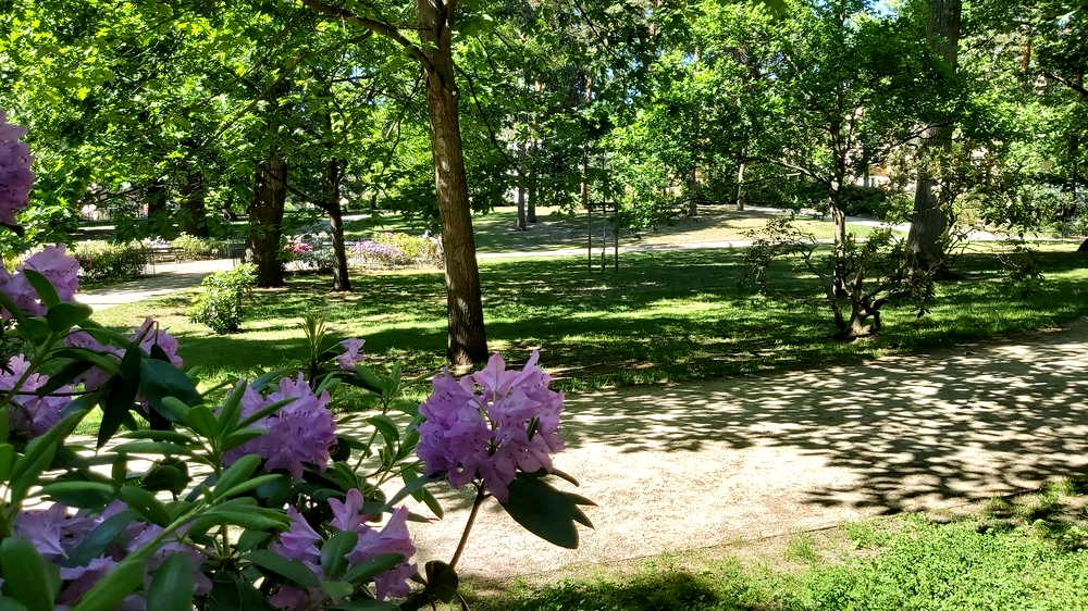Hermann-Seidel-Park denkmalgerecht saniert- Neue Wege, Spielplatz, Pflanzungen und Trinkbrunnen fertiggestellt. Foto: MeiDresden.de