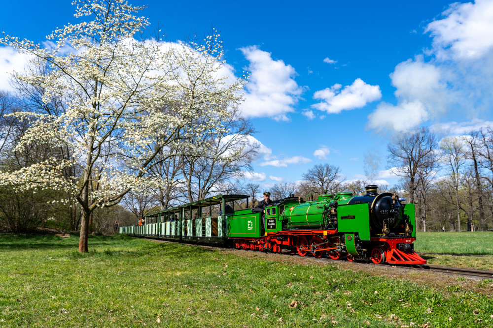 Dresdner Parkeisenbahn Foto:  Ben Walther