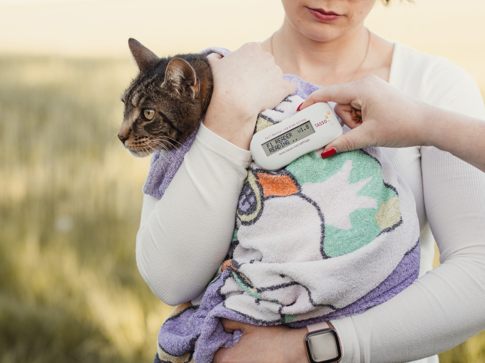 TASSO e.V. / Angelina Brückner Fotografie
