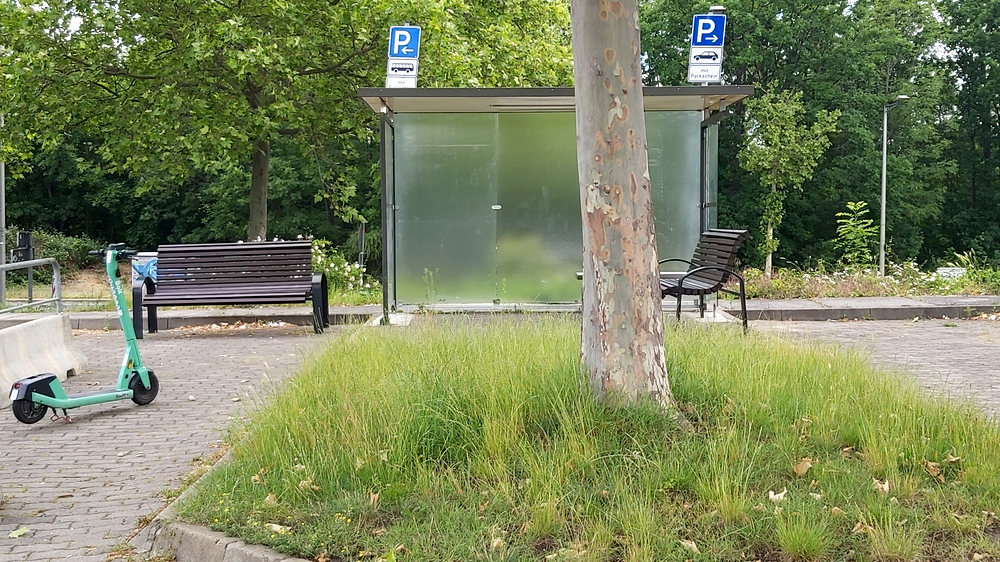 Busparkplatz Ammonstraße: Unterstand und Bänke wurden aufgestellt. Foto : MeiDresden.de