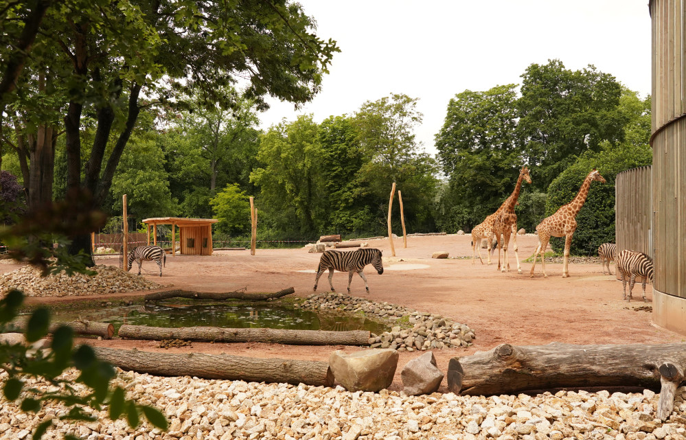 © Zoo Dresden