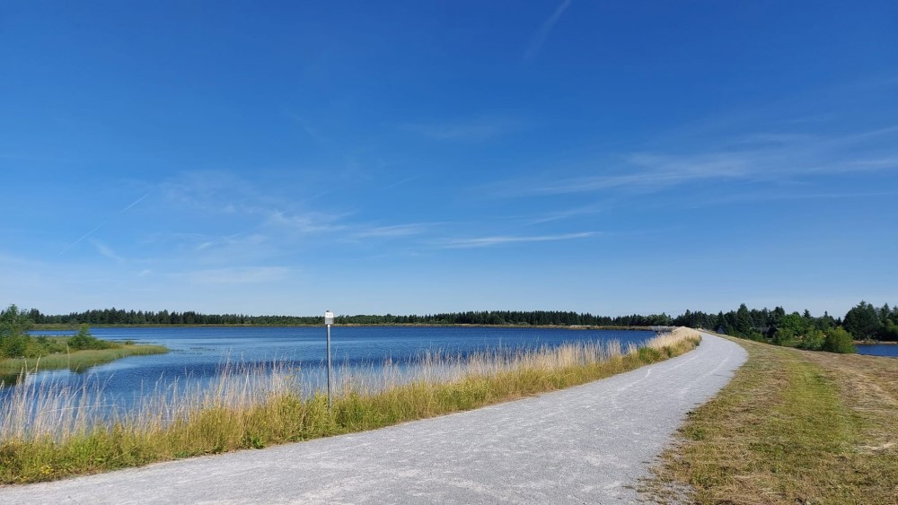 Großer Galgenteich Altenberg  Foto: © MeiSachsen.de