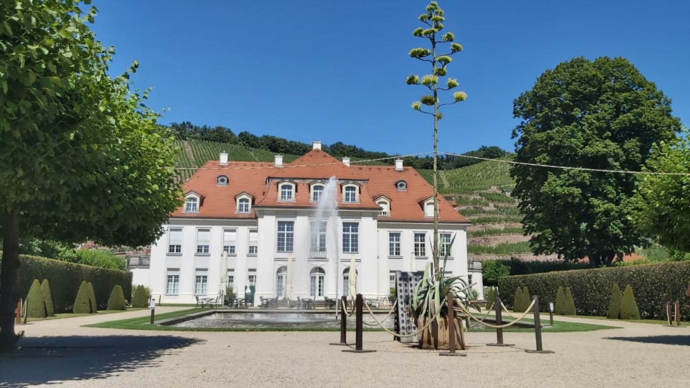 © MeiDresden.de