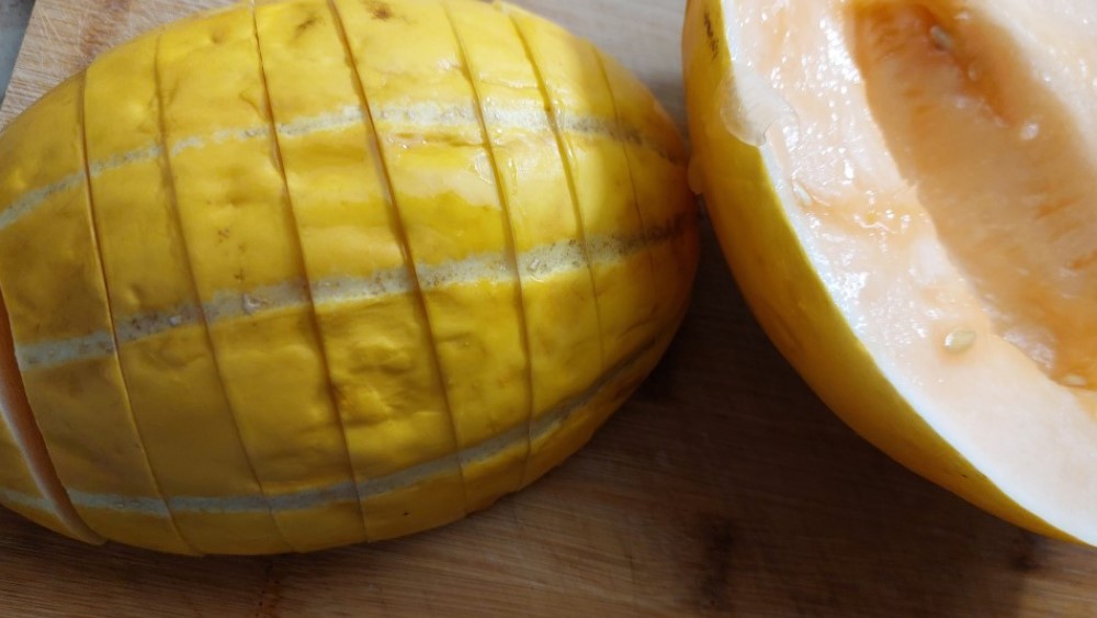 Rugby Melone © MeiDresden.de