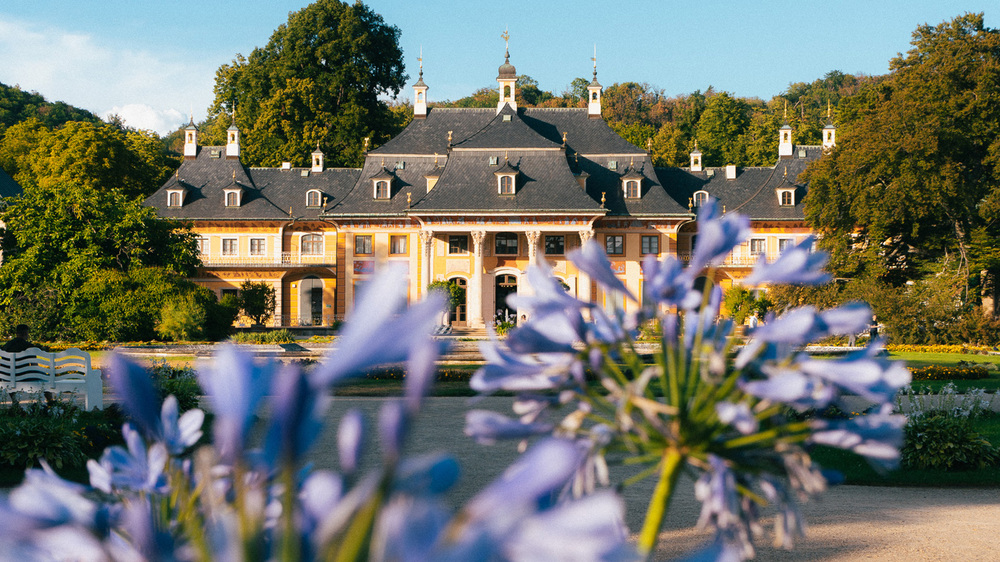 Sommerblüte im Lustgarten Foto : Schlösserland Sachsen