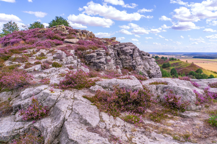 Die schroffen Thekenberge erheben sich über dem nördlichen Harzvorland. Foto: DJD/Tourist Information Halberstadt/Stefan Herfurth